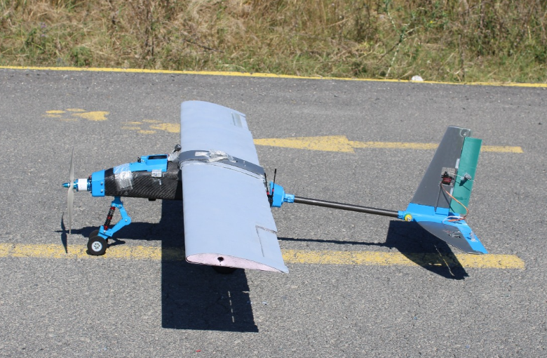 Lag-4